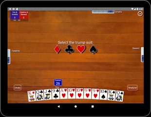 Screenshot 12: Pinochle Classic