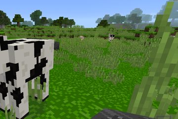 Screenshot 6: Minicraft 2020