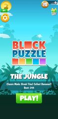 Screenshot 1: Block Puzzle