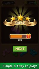 Screenshot 4: Wood Block Puzzle - Hexa