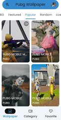 Screenshot 3: Pubg's Wallpaper HD