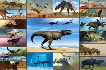 Screenshot 6: Dinosaurs Jigsaw Puzzles Game - Kids & Adults