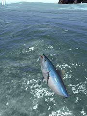 Screenshot 12: Monster Fishing 2021