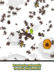 Screenshot 7: Ants and Mantis