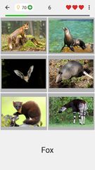 Screenshot 7: Animals Quiz - Learn All Mammals and Dinosaurs!