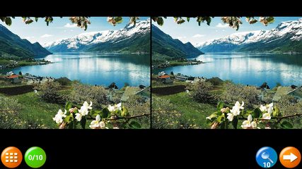 Screenshot 14: Find Differences 200 levels 2