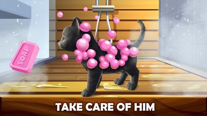 Screenshot 3: Daily Kitten : virtual cat pet