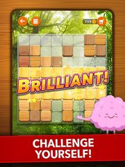 Screenshot 7: Blockscapes - Block Puzzle