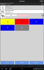 Screenshot 21: Ianseo Scorekeeper