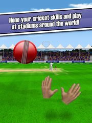 Screenshot 10: New Star Cricket