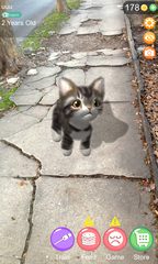 Screenshot 9: AR Cat