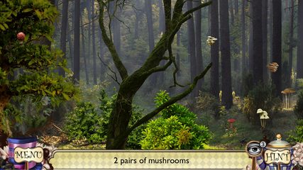 Screenshot 14: Alice Through the Looking Glass: Find Hidden Items