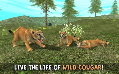Screenshot 11: Wild Cougar Sim 3D