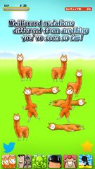 Screenshot 5: Alpaca Evolution Begins