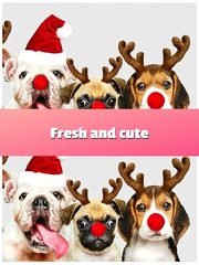 Screenshot 24: Find The Differences 500 Photos 2