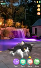 Screenshot 7: AR Cat