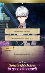 Screenshot 12: Proposed by a Demon Lord