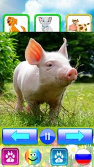 Screenshot 2: Animal sounds. Learn animals names for kids
