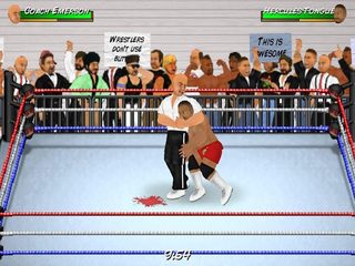 Screenshot 3: Wrestling Revolution