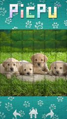 Screenshot 5: PicPu - Dog Picture Puzzle