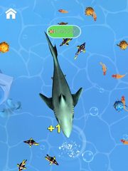 Screenshot 20: Shark Frenzy 3D