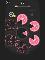 Screenshot 6: Slices