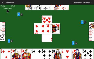 Screenshot 15: Oh Hell by NeuralPlay