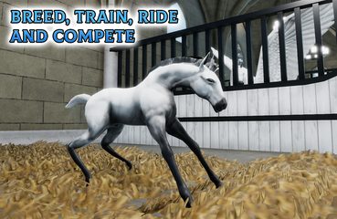 Screenshot 12: Horse Academy - Equestrian MMO