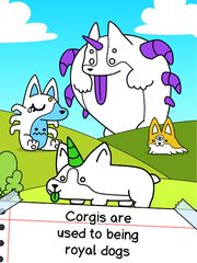 Screenshot 21: Corgi Evolution: Shiba Dogs