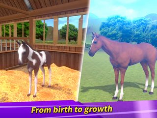 Screenshot 10: Derby Life : Horse racing