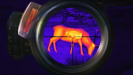 Screenshot 8: Wild Hunter - Deer Hunting Games