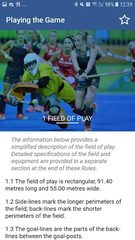 Screenshot 4: Rules of Hockey