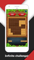 Screenshot 8: Wood Block Puzzle King