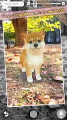Screenshot 8: with My DOG