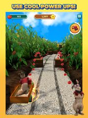 Screenshot 17: Peter Rabbit Run!