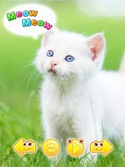 Screenshot 17: Cute animal pictures & animal