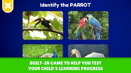 Screenshot 6: Flashcards Toddler Games for 2 and 3 Year Olds
