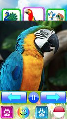 Screenshot 24: Animal sounds. Learn animals names for kids