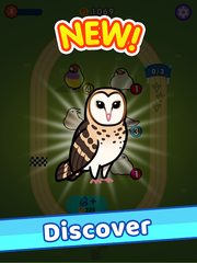 Screenshot 10: Idle Bird Park
