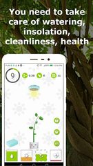 Screenshot 1: Lucky tree - plant your own tree