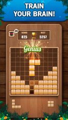 Screenshot 13: Wooden 100 Block Puzzle Game