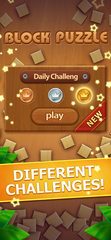 Screenshot 3: Wood Block Puzzle - Block Game 4+