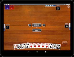 Screenshot 10: Pinochle Classic