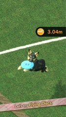 Screenshot 4: with My DOG