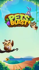 Screenshot 13: Pet Blast 2021
