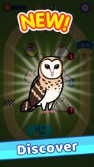 Screenshot 5: Idle Bird Park