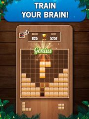 Screenshot 20: Wooden 100 Block Puzzle Game
