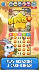 Screenshot 23: Bingo Pet Rescue