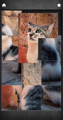 Screenshot 22: Purring cats therapy - jigsaw puzzle