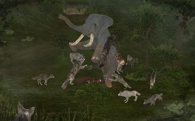 Screenshot 13: Wild Animals Online(WAO)
